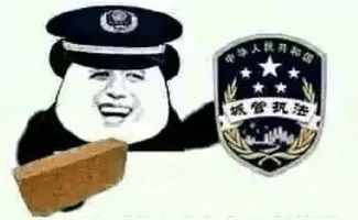  我的假专业遇上了假亲戚