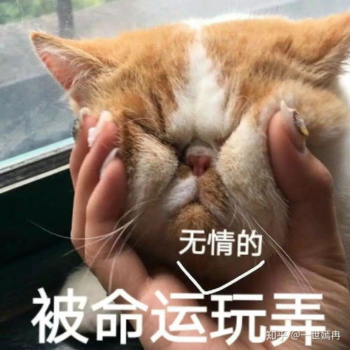  对男闺蜜很心动怎么办