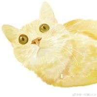 高清情侣头像情侣专用橘