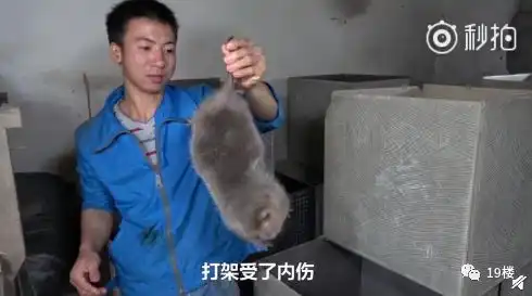 华农兄弟表情包中暑悲哀