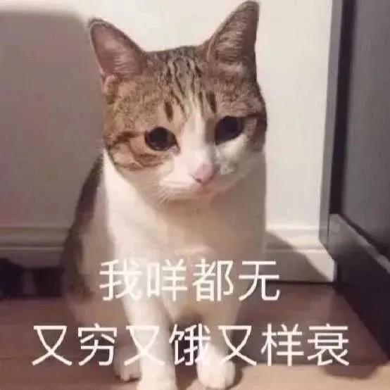  耽改男星刻意卖腐炒cp小鲜肉未红先飘活该被排挤