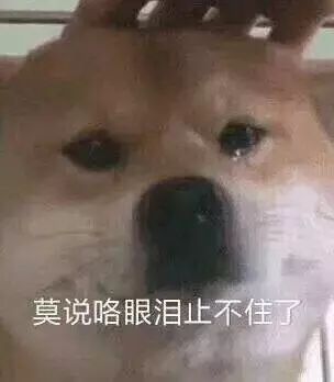  舔狗舔到最后一无所有