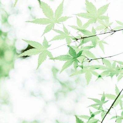  皇冠体育h76app下载安装中国官方网站ios安卓通用版手机app