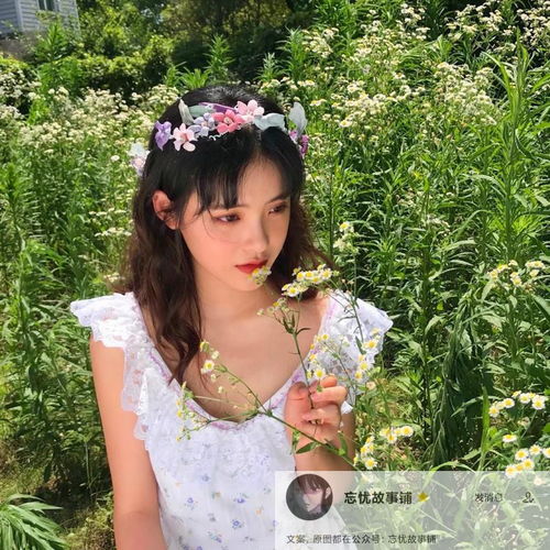  很简单却喜欢了很久的精致文案