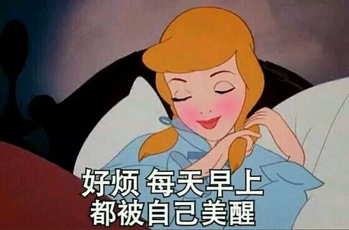  普普通通nct,好吃懒做花蝴蝶,企划一流李...