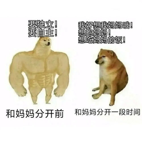  开学第一周寒假后遗症