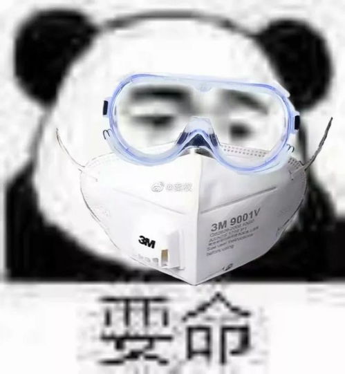  我真怕明天专家说吃屎能治冠状病毒