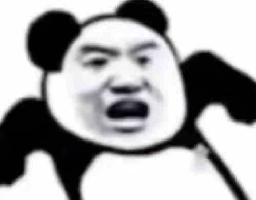 怂表情包熊猫劫匪