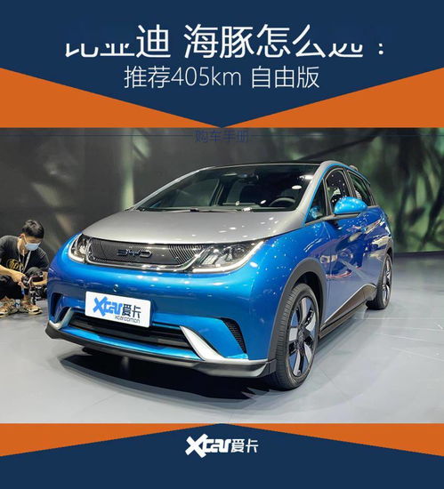  推荐405km自由版比亚迪海豚购车手册