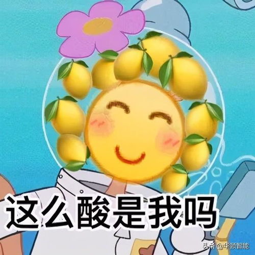  速看338所高校暑期放假时长公布