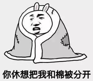  寒潮蓝色预警松江48小时直降10最低气温0更崩溃的是
