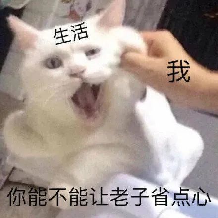  表情包我喜欢你