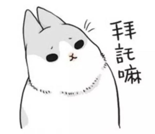 求网址表情包兔子