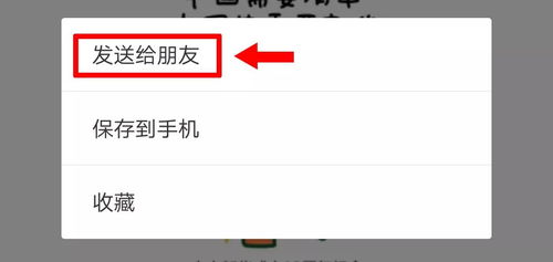  中大新华13th校庆表情包震撼来袭,祝您生日快乐