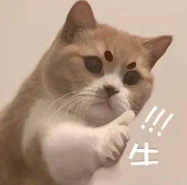 震惊σд汉字和表情包居然是远方亲戚