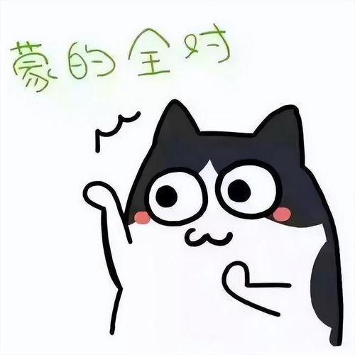  12.21竞彩推荐以平赔开盘核心思维预测赛事结果考文垂vs西布朗