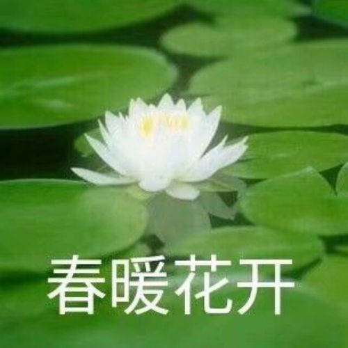  成熟稳重的男人用什么头像