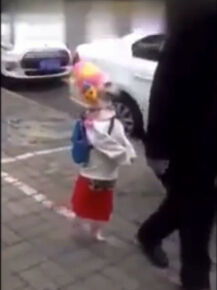  宠物狗一身女装街头直立行走视频网上蹿红