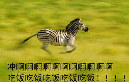  吃货表情包图片大全吃货的表情包下载