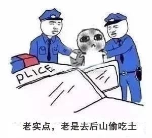 要饭表情包系列无果