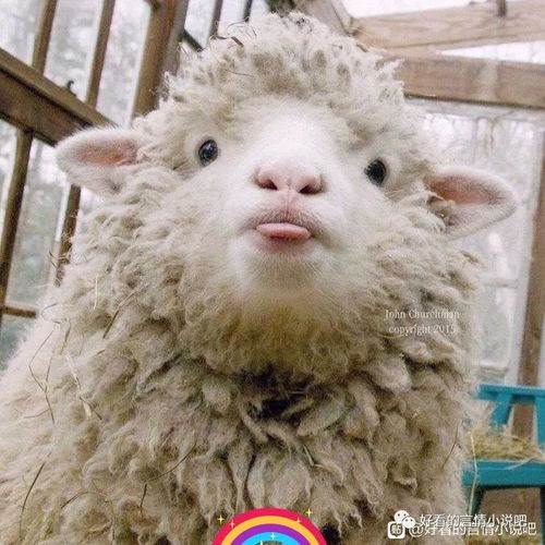  2020最后半个月,还有什么愿望想实现