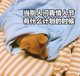  柠檬日是什么意思2月14日情人节是柠檬日柠檬日快乐表情包