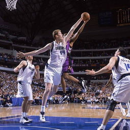  扎伊德鲁纳斯是谁这些nba巨星,你肯定只记住了他们的绰号