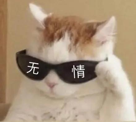  程序员在网上晒出了与领导吃饭时的照片哇哈哈哈哈