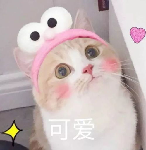  萌系头像想往你身上扑,向你怀里钻,然后扬起头,轻轻吻你的额头和你说晚安