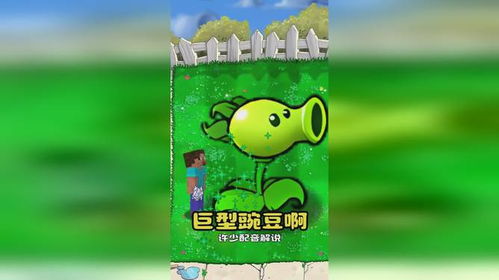  植物大战僵尸巨型豌豆啊史蒂夫用骨粉变大巨型豌豆射手