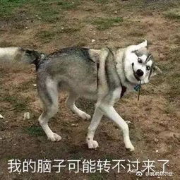  北京pk赛车技巧首选平台