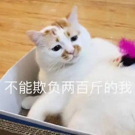  我的表情包去世了
