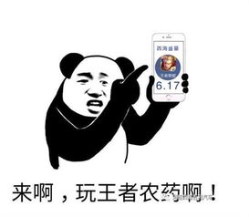  四海吉利汽车
