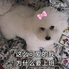  怎么用自己的头像做表情包
