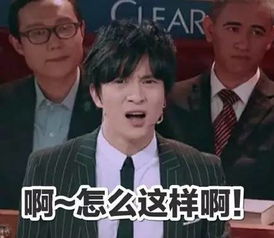  王思聪对林更新才是真爱,网红什么的靠边站吧