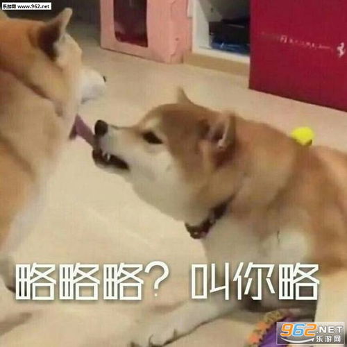 微信表情包大全猥琐萌略