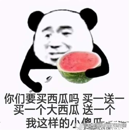 洞主表情包城之内