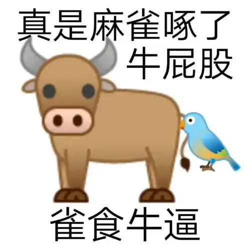  猪鼻子上插大葱,装相超有趣的歇后语表情包集合