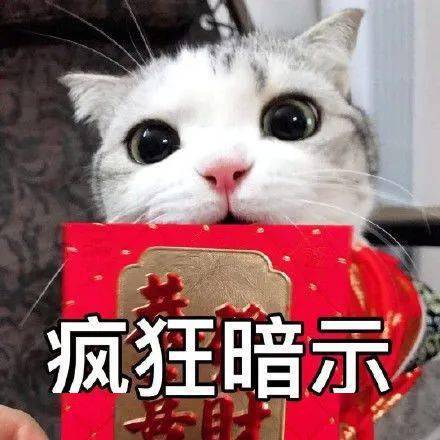  春节期间要红包,有哪些特别合适的表情包