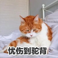  伤心表情包