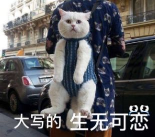  萌宠变恶犬广西一老人被狗咬伤,惨状触目惊心