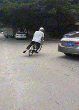  不冷笑话这世界还有人敢单挑一群大鹅向大佬低头今日福利多多