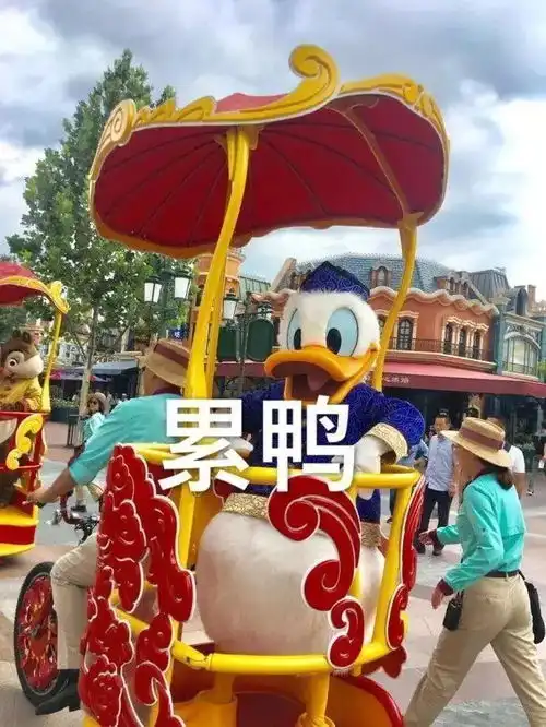  这是一组表情包鸭