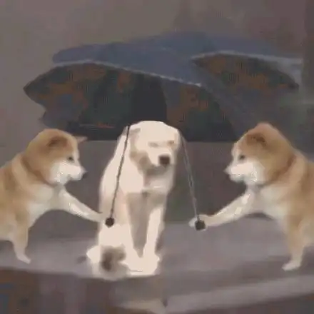 呼叫表情包可爱狗狗