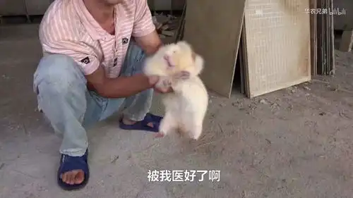  2位中医用量子纠缠证明孩子生病就该扎他妈