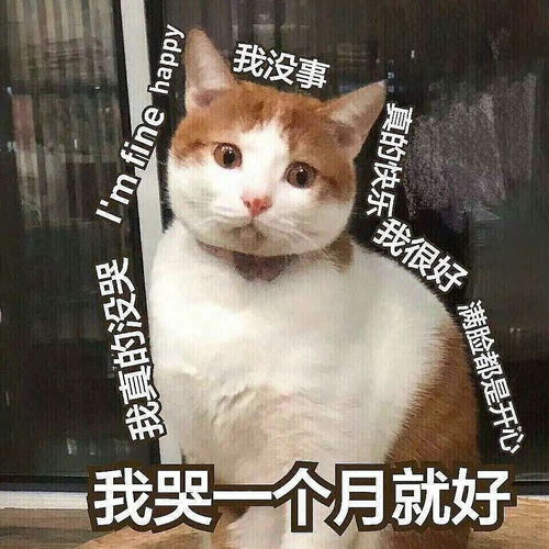  春节如何应对七大姑八大姨盘问
