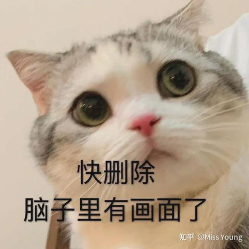  如何做好身材管理