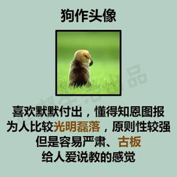  准到爆从微信头像就能猜到你的性格