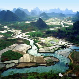  神姿仙态,情深梦美