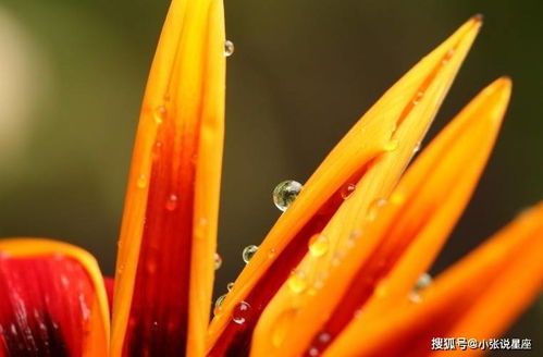  爱强词夺理的三类生肖男,气势汹汹,让人敬而远之
